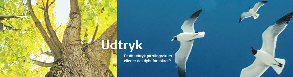 Udtryk. Er dit udtryk på slingrekurs, eller er det dybt forankret?